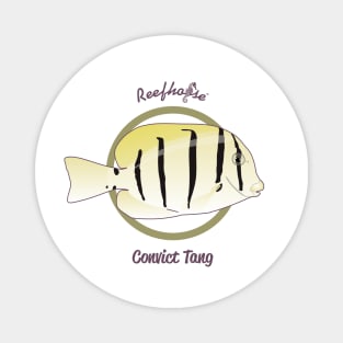 Convict Tang Magnet